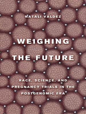 cover image of Weighing the Future